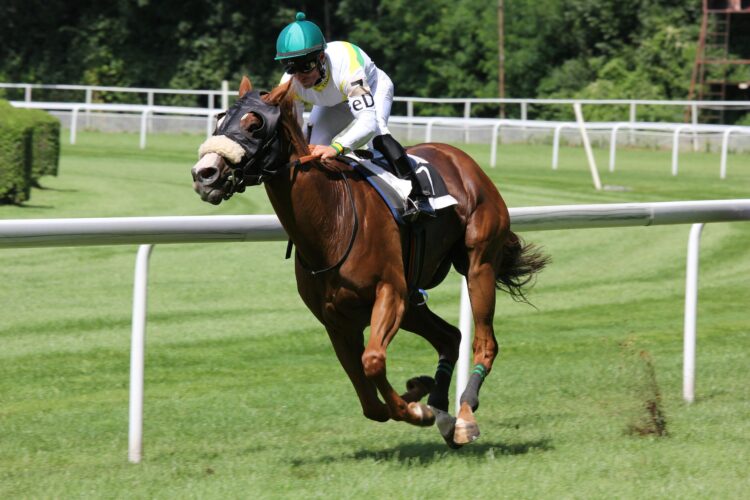 Horse Racing Image
